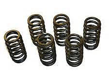 Cummins 60# Valve Springs