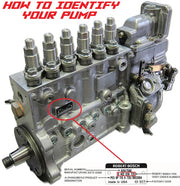 Dodge Cummins 94-98 5.9L Cummins Hot Street P-Pump - Dynomite Diesel